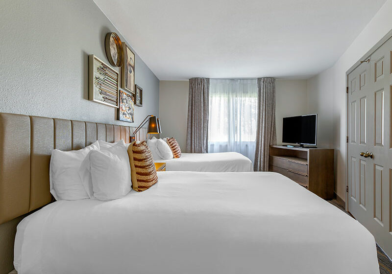 Updated-sndd two double beds suite